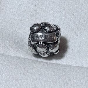 Pandora 925 Sterling Silver Love and Family Bead Charm 791039